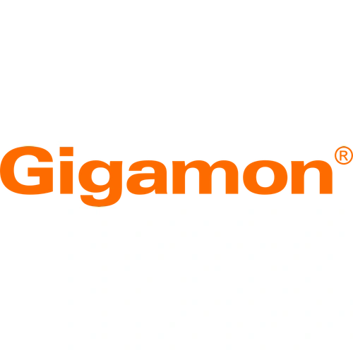 Gigamon